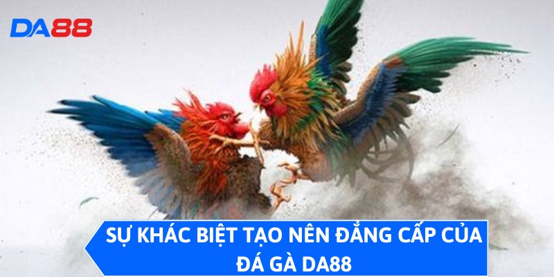 Sự khác biệt tạo nên đẳng cấp của đá gà DA88